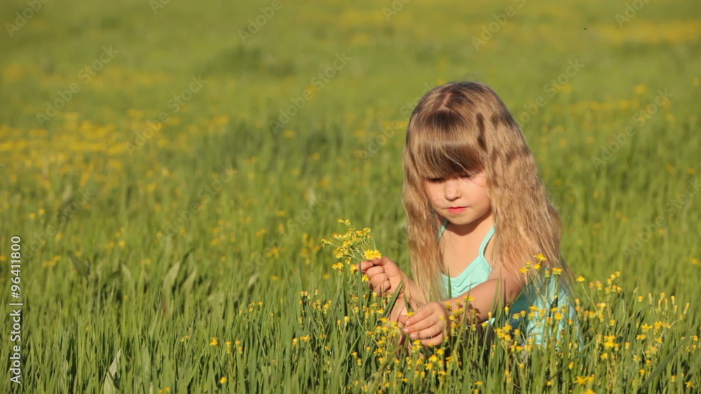 Lovely kid sitting in field and picking flowers Lovely kid sitting in field and picking flowers