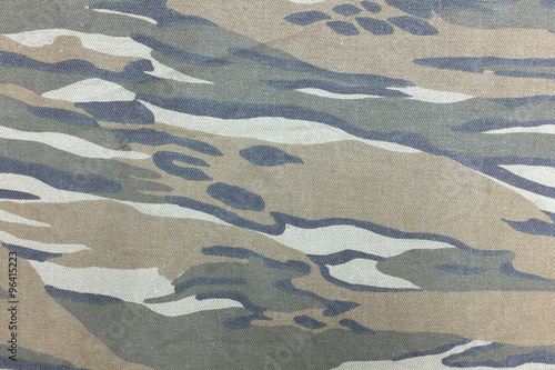 Camouflage pattern and background.