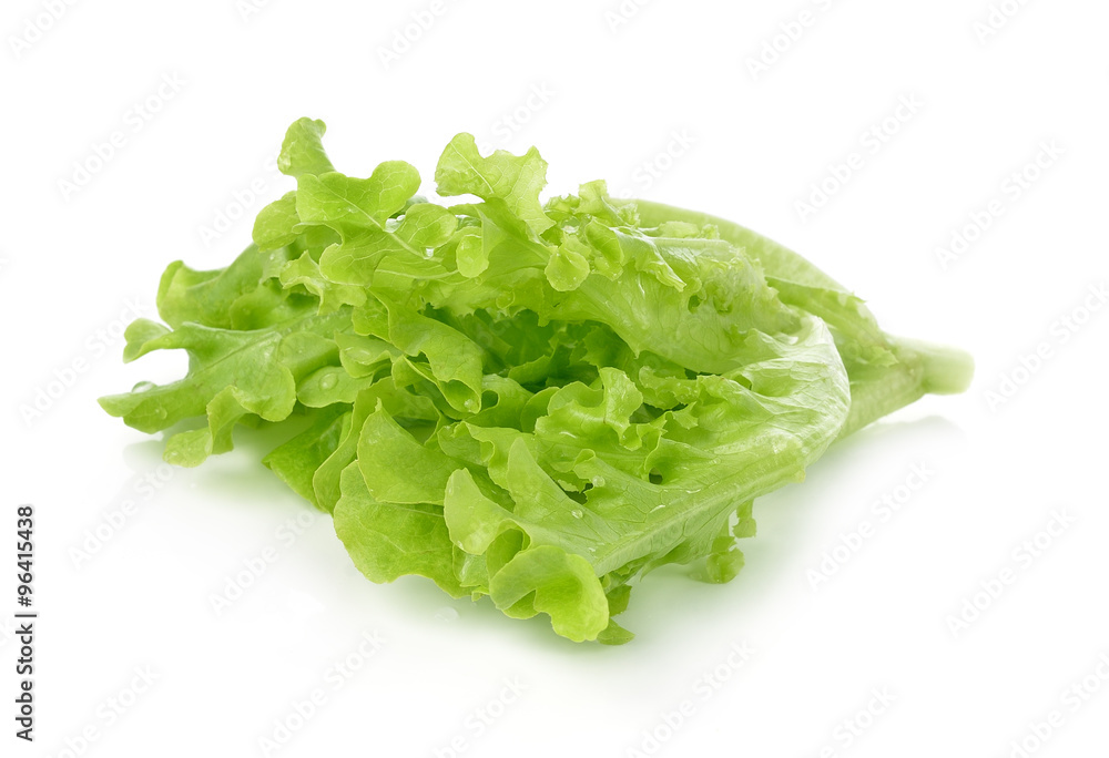fresh lettuce leaves isolated on white background. fresh lettuce leaves isolated on white background.