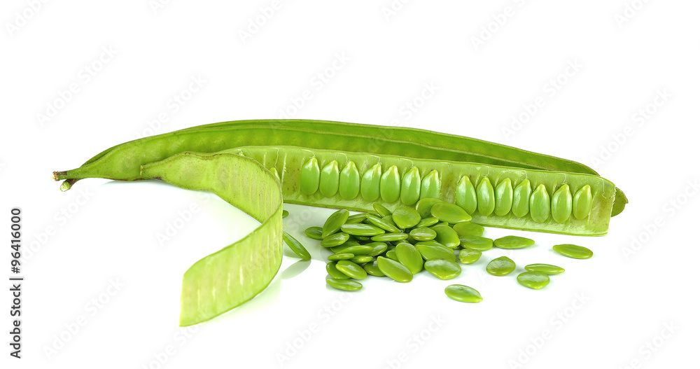 Acacia seeds isolated on white background Acacia seeds isolated on white background