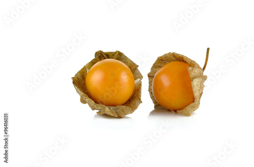 Physalis on a white background photo