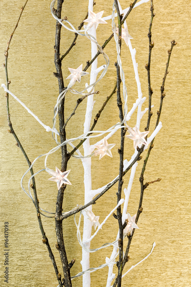 bare tree branch with stars christmas light