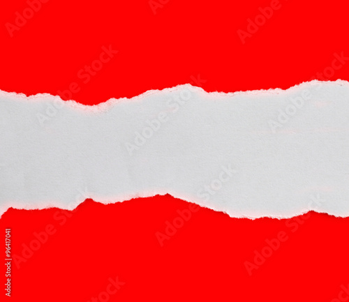 Wallpaper Mural Ripped paper, space for copy Torontodigital.ca