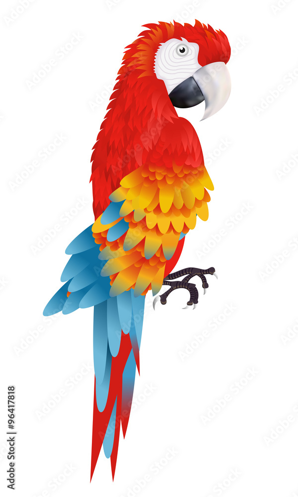 Fototapeta premium A bright macaw parrot isolated on white background illustration