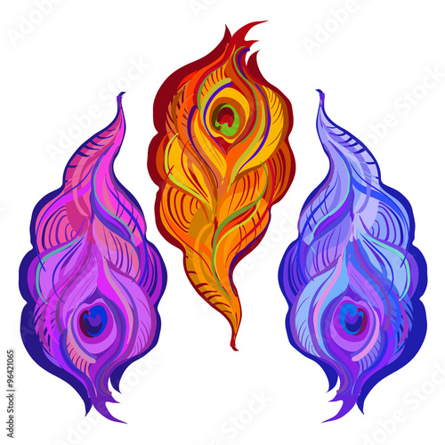 Violet, orange and blue painted vector peacock feathers. 