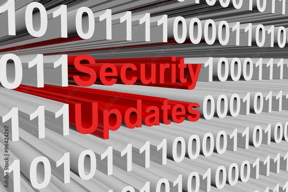 security updates are presented in the form of binary code
