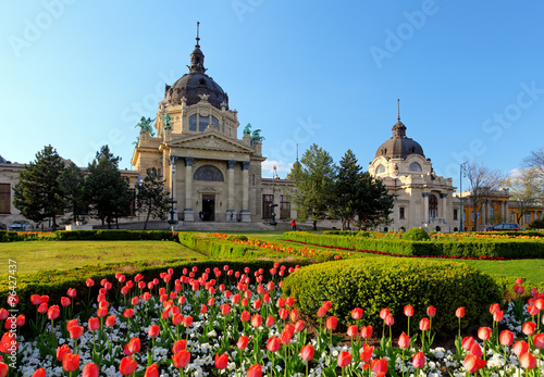 Canvas Print Szechenyi Spa with flower - Budapest, Hungary