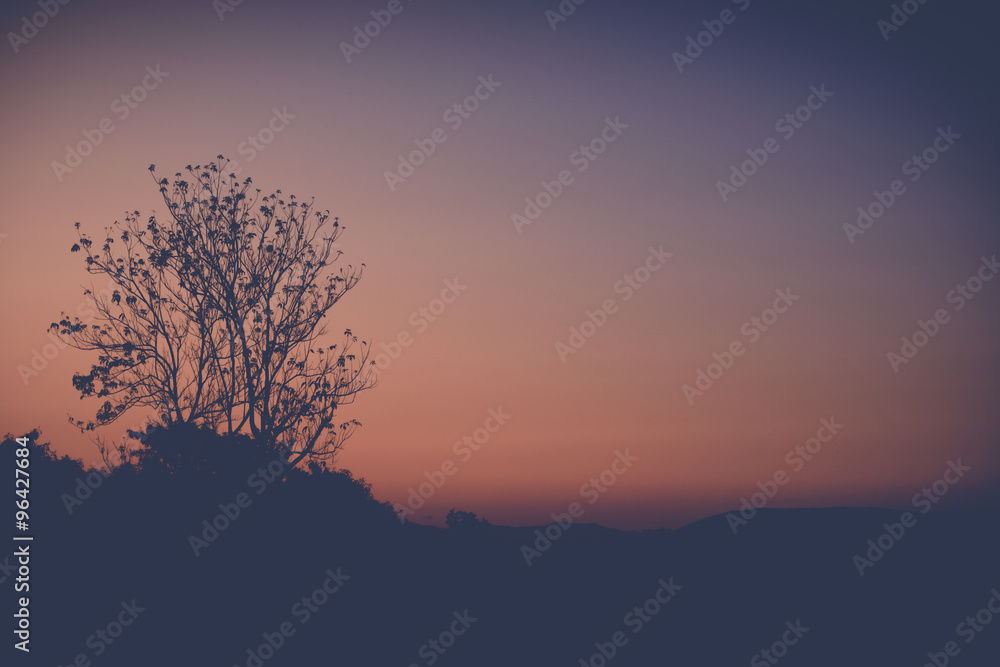 Fototapeta premium Beautiful sunset at a lake