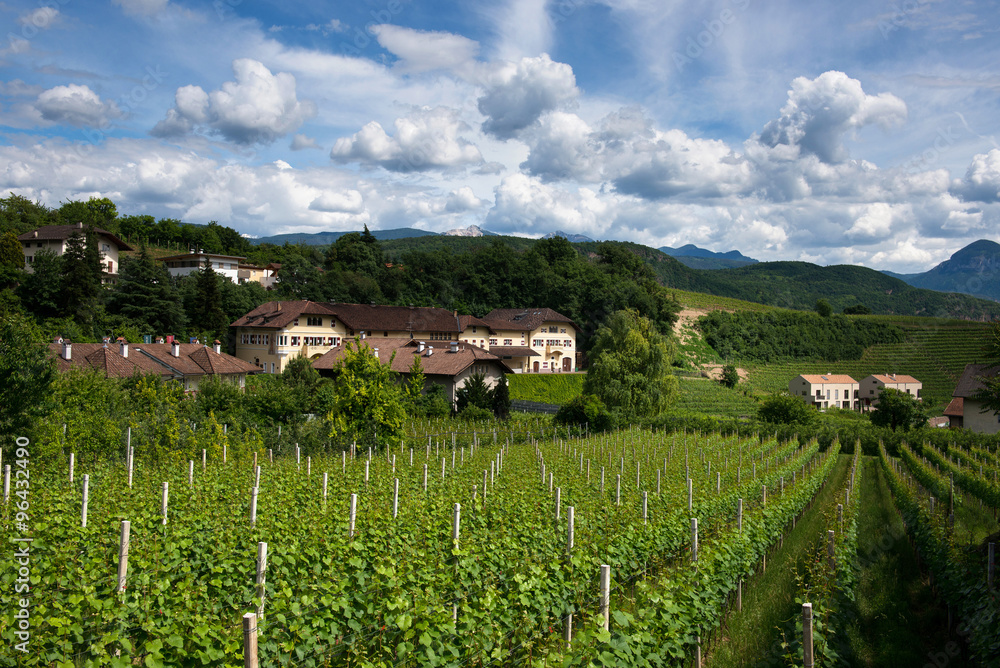 Anbaugebiet der Südtiroler Weinstraße bei Kaltern, Südtirol, Italien