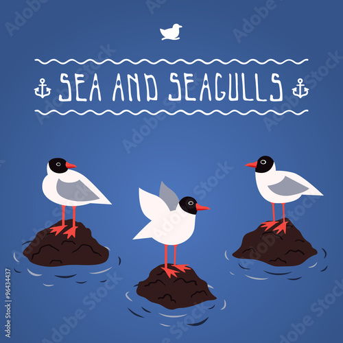 Blackhead seagulls and sea vector background