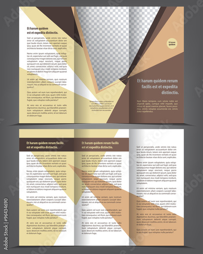 Vector empty tri-fold brochure print template design, trifold bright booklet or flyer