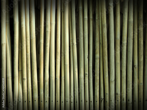 Abstract bamboo wall  colored filtered background