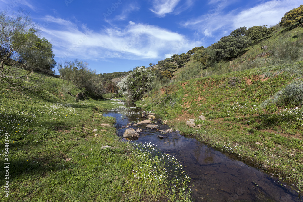 small river in spring