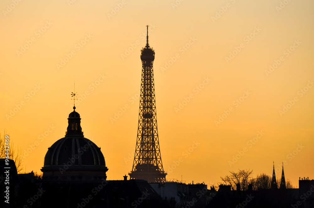 The Eiffel Tower and the French Institute at sunset in Paris, France