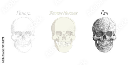Human skull in three different styles: pencil, pen and brown designe marker
