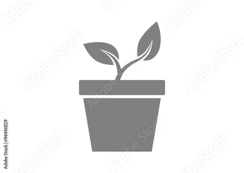 Plant vector icon on white background