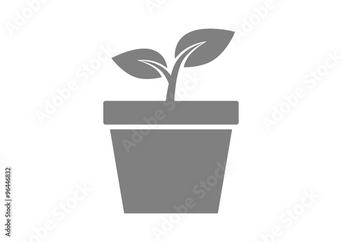 Plant vector icon on white background