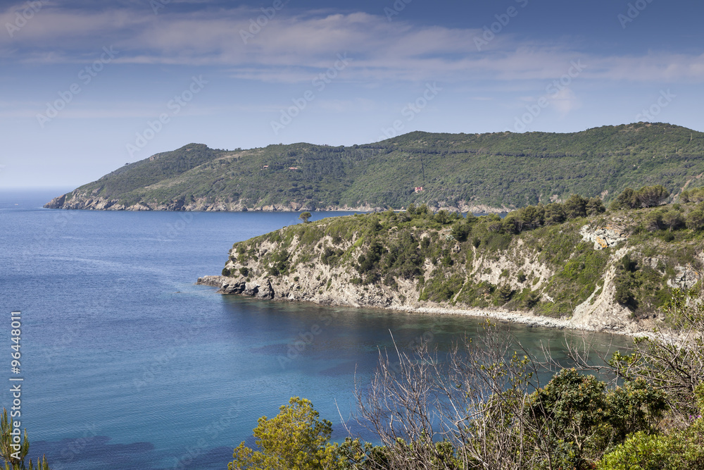 Coastline near Lacona, island of Elba, Tuscany, Italy, Europe
