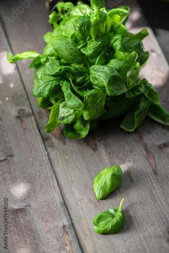 Fresh organic basil