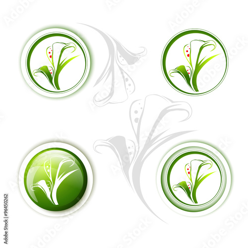 Fototapeta Naklejka Na Ścianę i Meble -  Calla Lily Flower Icon Set