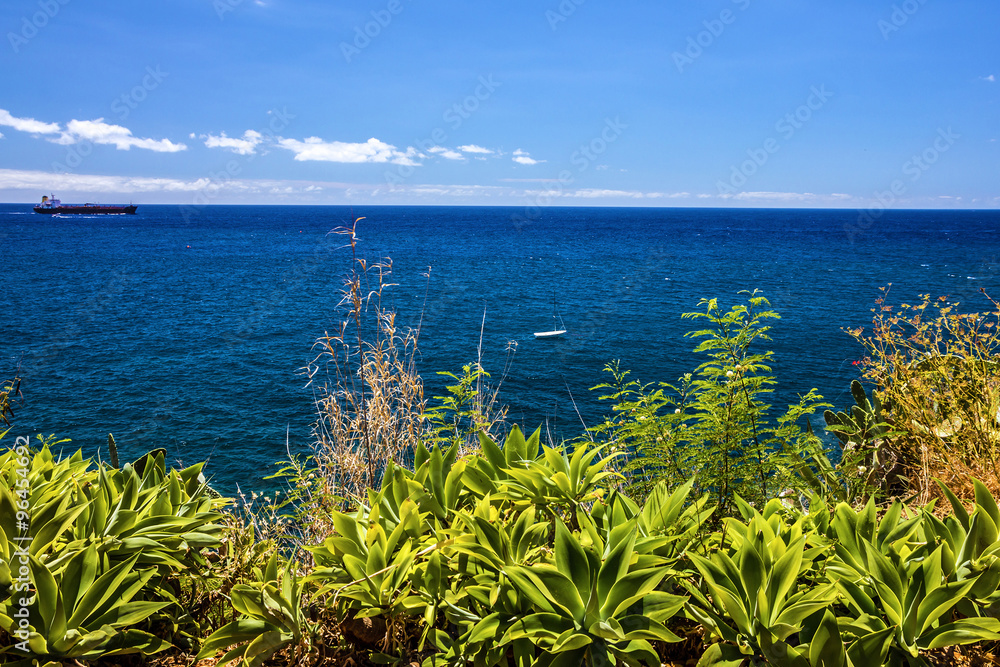 Tropical beach ocean view, Funchal, Madeira Tropical beach ocean view, Funchal, Madeira