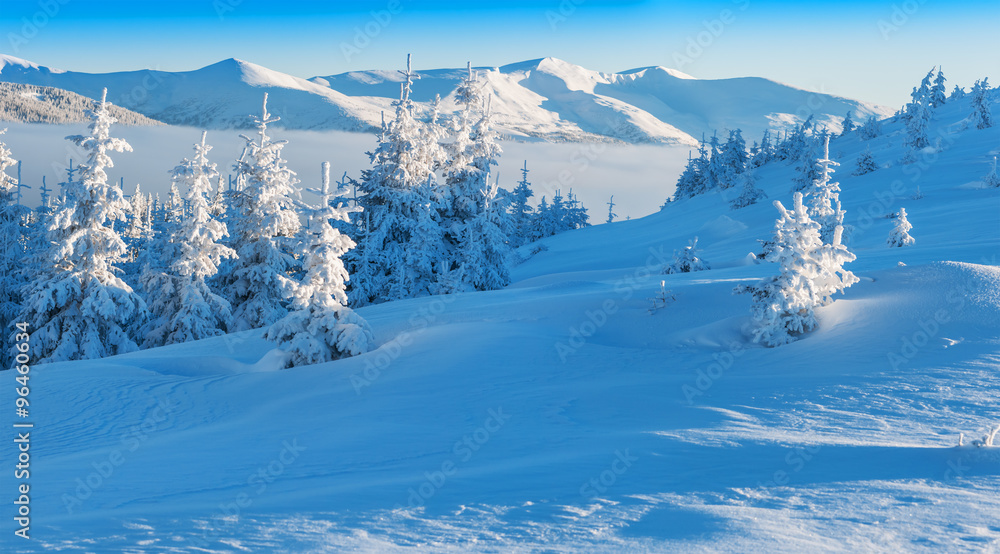 Fototapeta panorama of winter mountain