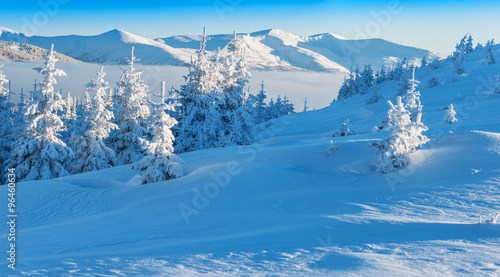 panorama of winter mountain
