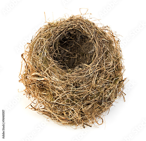 Original empty bird's nest close-up isolated on a white background.