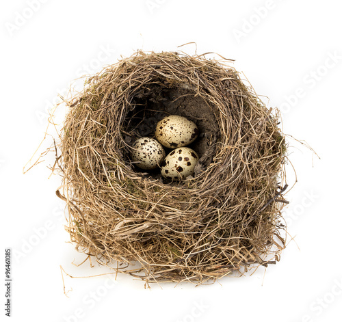 Original bird's nest with quail eggs close-up isolated on a white background.