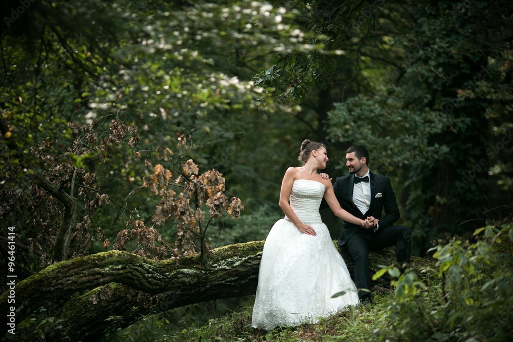 Beautiful wedding couple sitting in the woods Beautiful wedding couple sitting in the woods