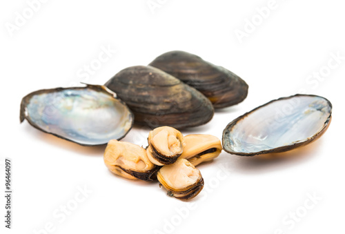 group of boiled mussels in shells isolated