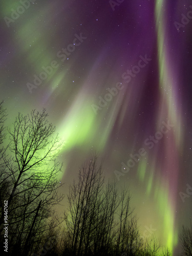 Aurora Borealis (Northern lights) in Alberta, Canada