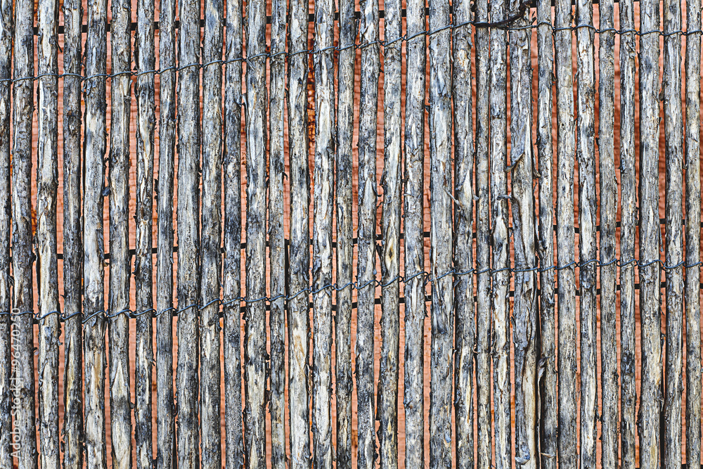 Fototapeta premium old wood texture background