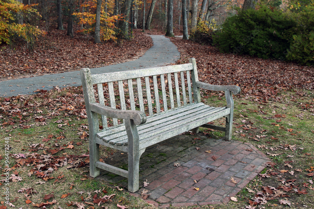 A wooden bench in the park during fall A wooden bench in the park during fall