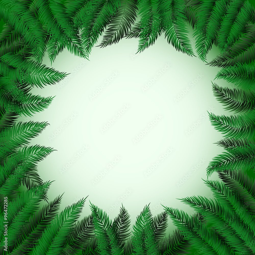 Frame of fir branches Frame of fir branches
