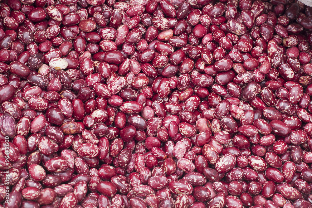 Frijol - Phaseolus vulgaris Frijol - Phaseolus vulgaris