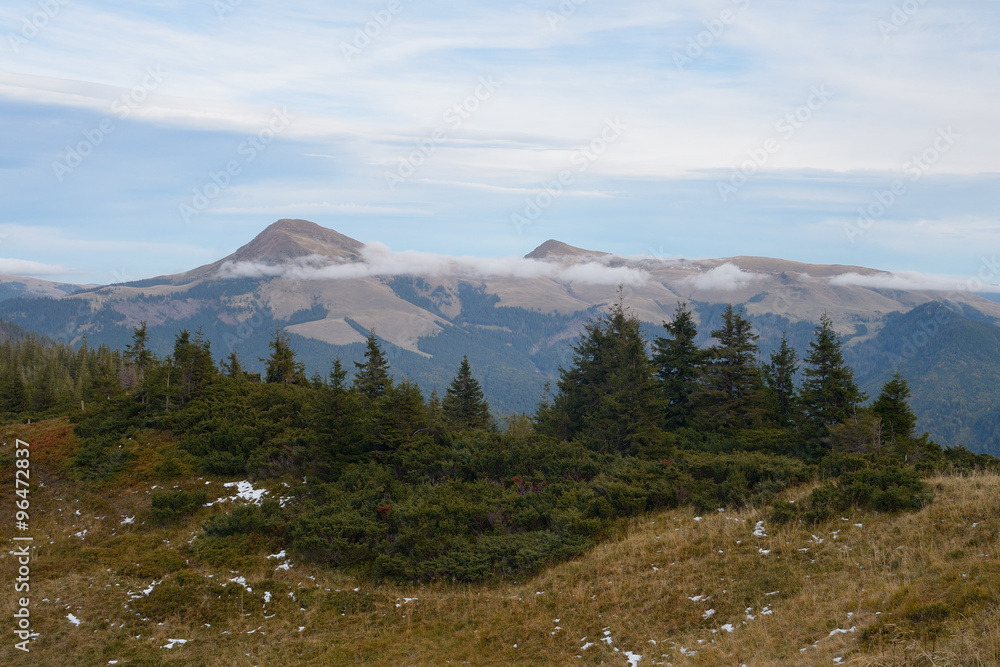 Fototapeta premium Mountain landscape with trees