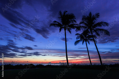 Tropical Sunset Silhouette
