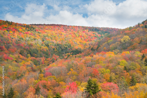 Fototapeta Naklejka Na Ścianę i Meble -  Fall Foliage in the Mountains of West Virginia along scenic high