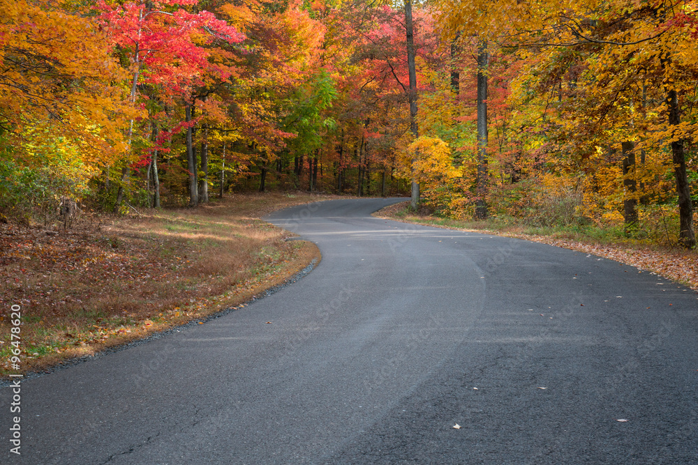Naklejka premium Autumn Foliage Road