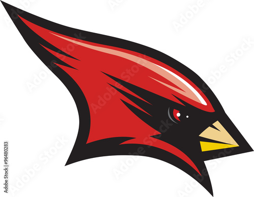 Bird sports mascot