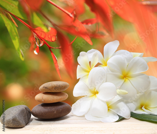 Zen spa concept background - Zen massage stones with frangipani plumeria flower and Water drops on the nature background