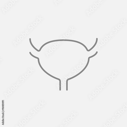Urinary bladder line icon.