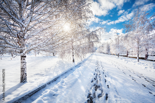 Beautiful Winter park © pikoso.kz