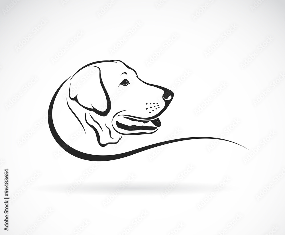 Vector image of an dog labrador head on white background - obrazy, fototapety, plakaty 