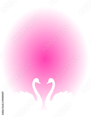 Swan couple on pink background