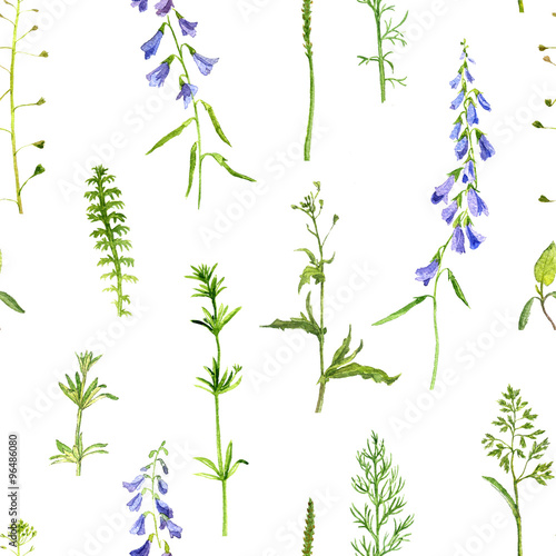 seamless pattern with herbs and flowers