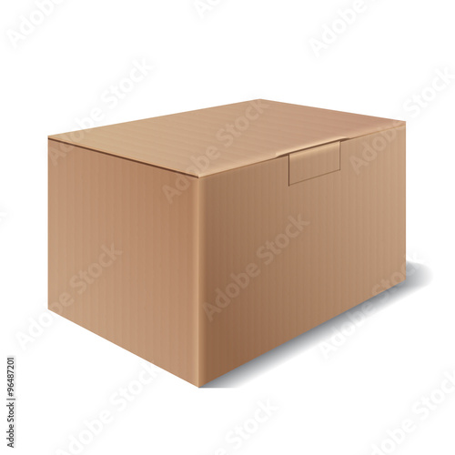 Vector cardboard box