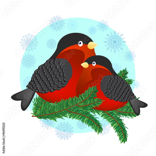 Bullfinches vector illustration