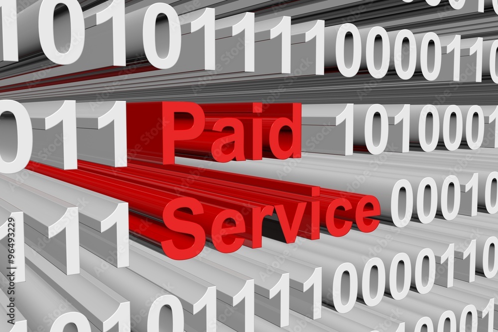 paid service is represented as a binary code paid service is represented as a binary code